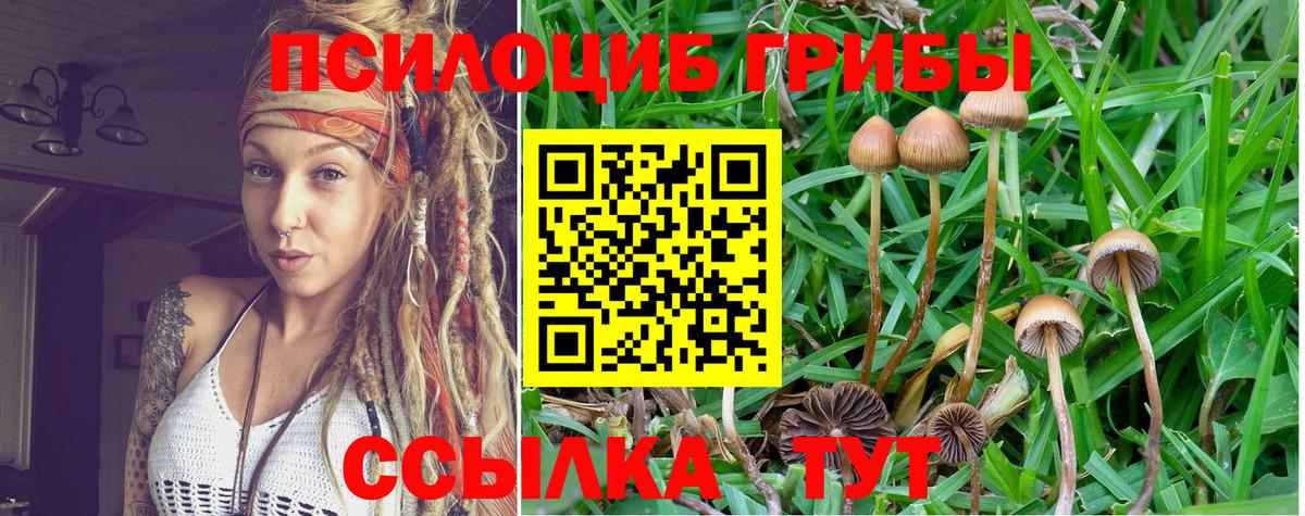 Галлюциногенные грибы прущие грибы Стрежевой