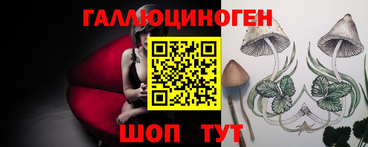 Галлюциногенные грибы Cubensis  Вход с VPN  Стрежевой 